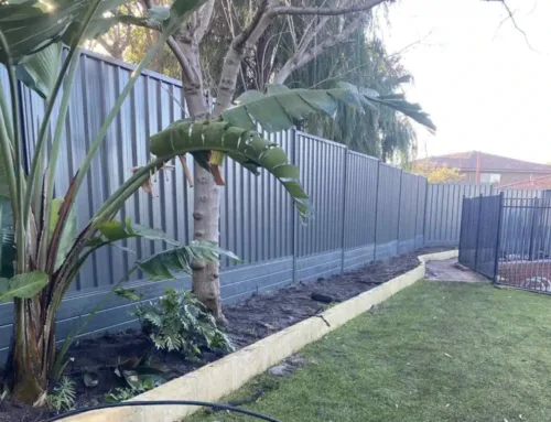 Fencing vs Retaining Walls: Which is Better for Property Boundaries?